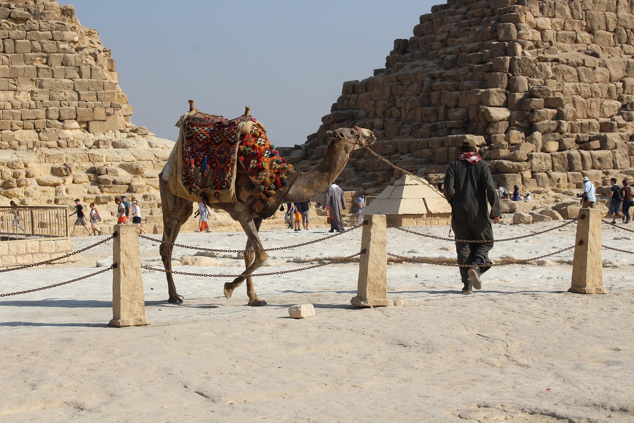 The Mystery of the Ancient Egyptian Labor Force